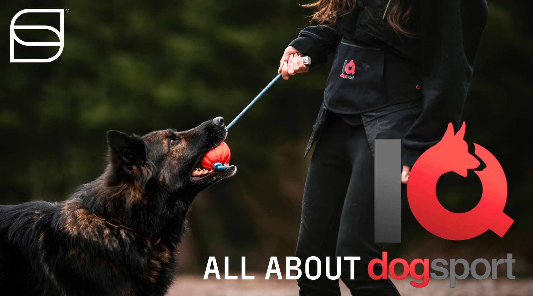 IQ DogSports: The Latest Addition to the SPRENGER USA Store