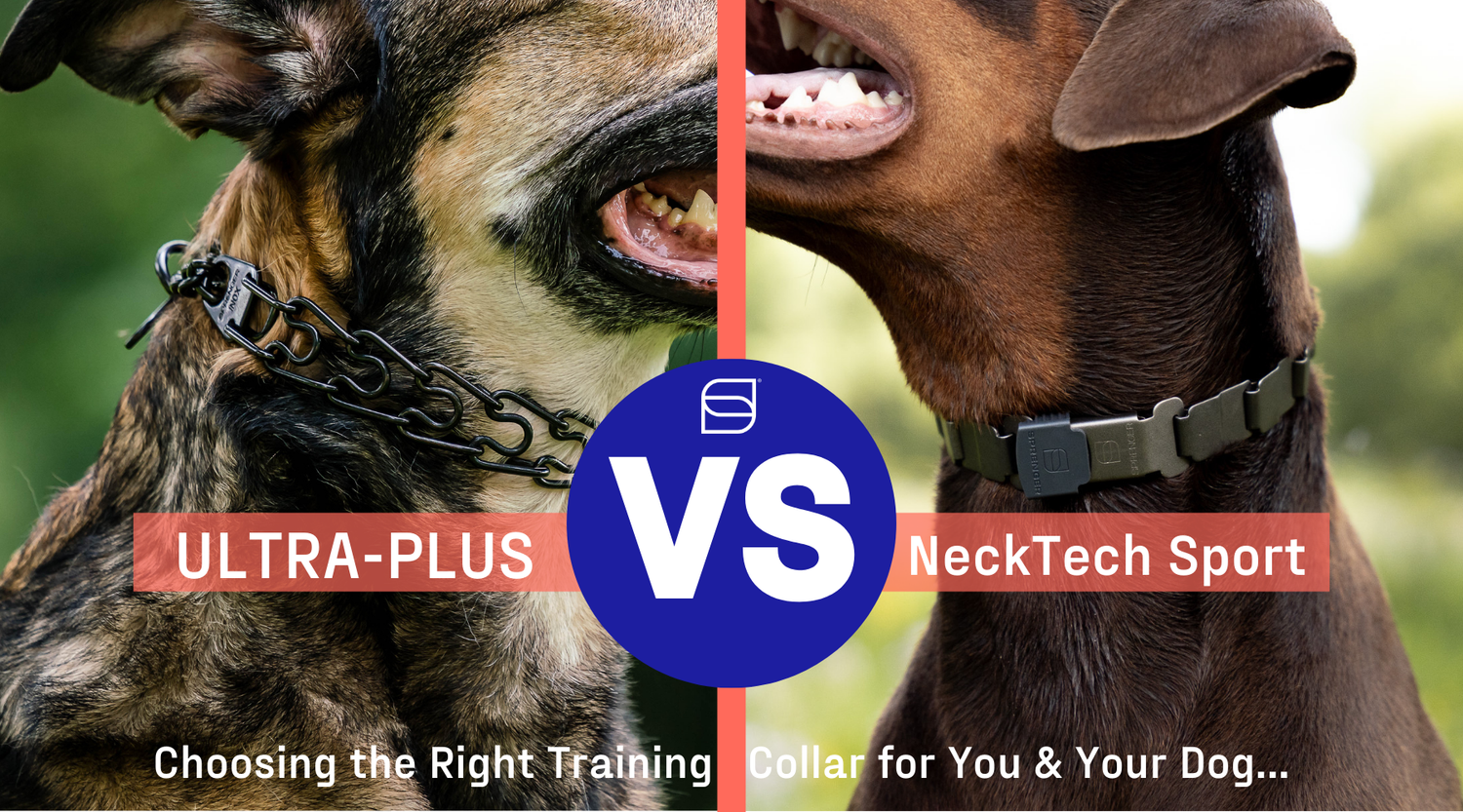 NeckTech Sport vs ULTRA-PLUS: Which is the Right Training Collar for You & Your Dog?