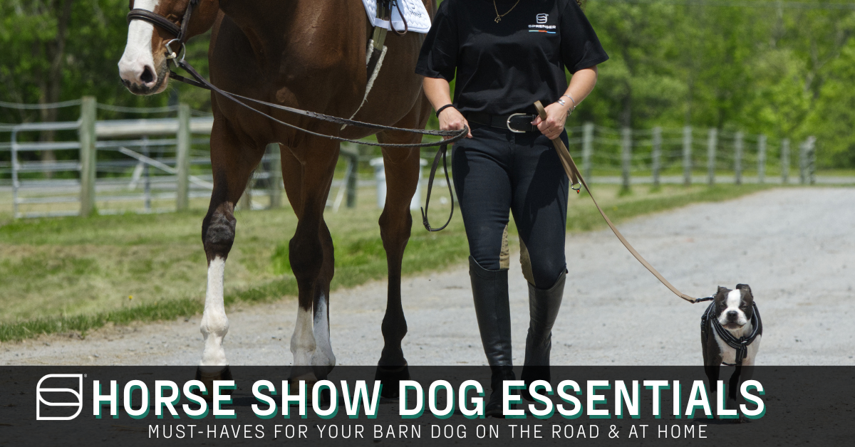 Horse Show Dog Essentials: Must-Haves for your Barn Dog on the Road & at Home