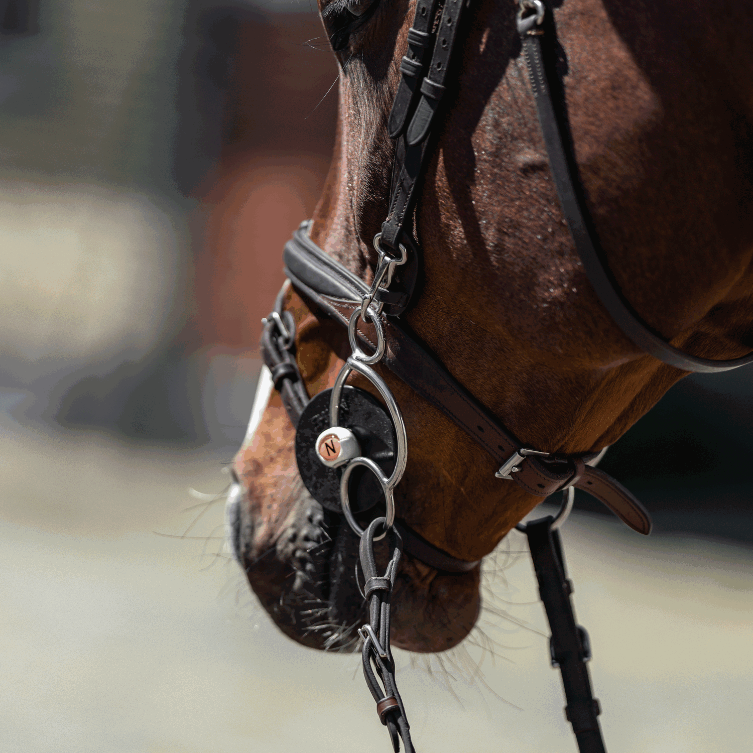 nathe horse bit herm sprenger