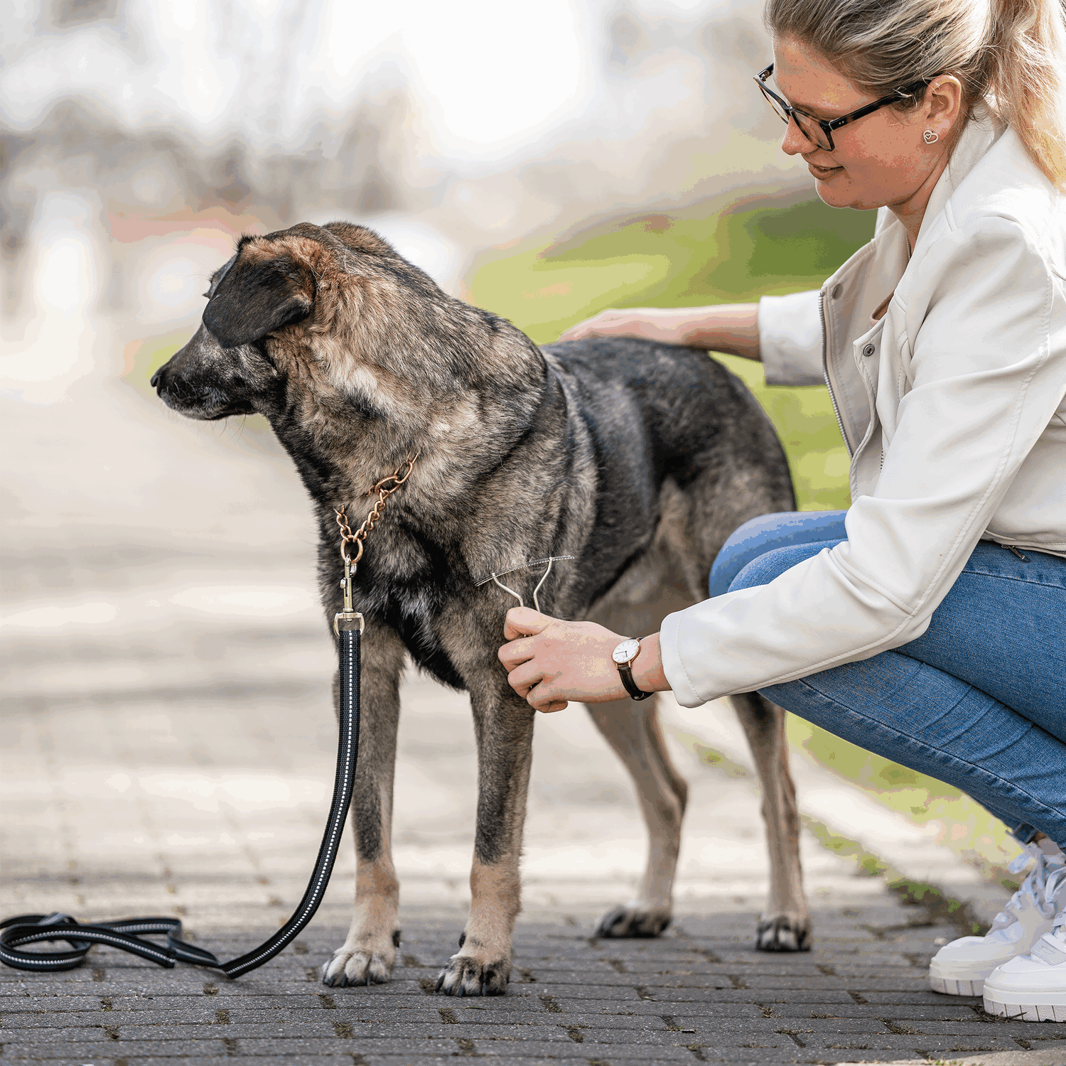 Canine Grooming Supplies NULL