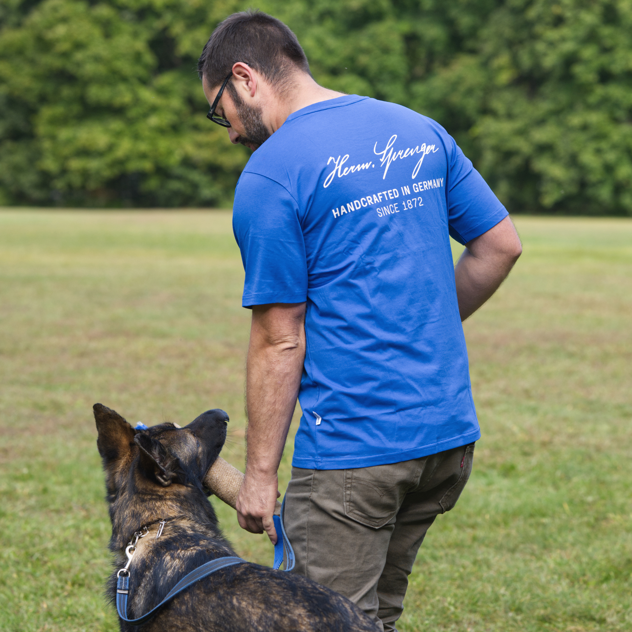 The SPRENGER Training Collection