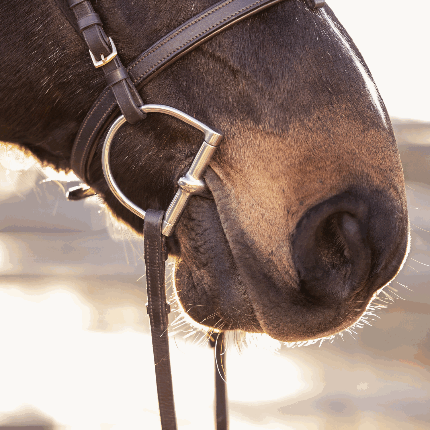 Sprenger MAX-Control