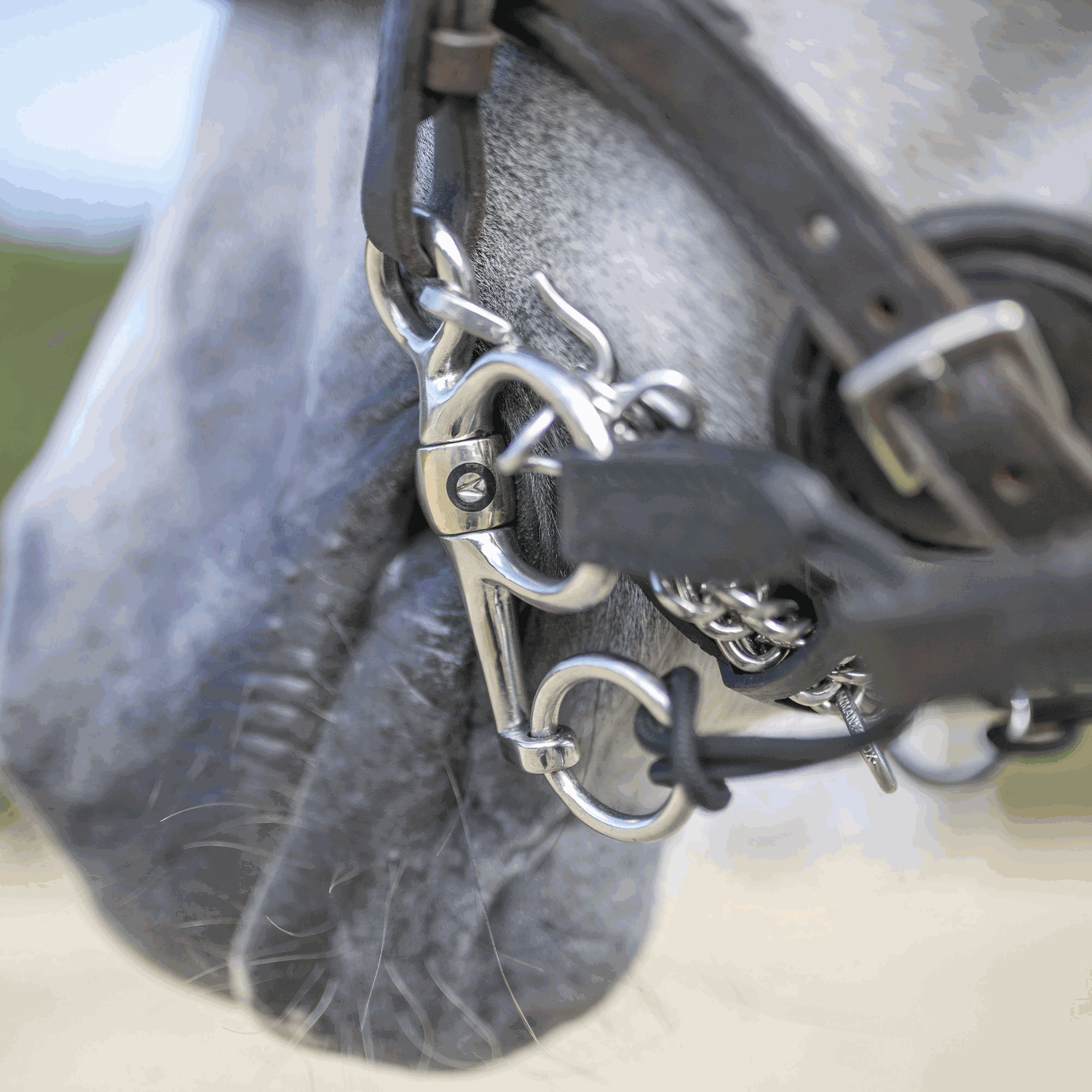 Pelham and Bit Converter