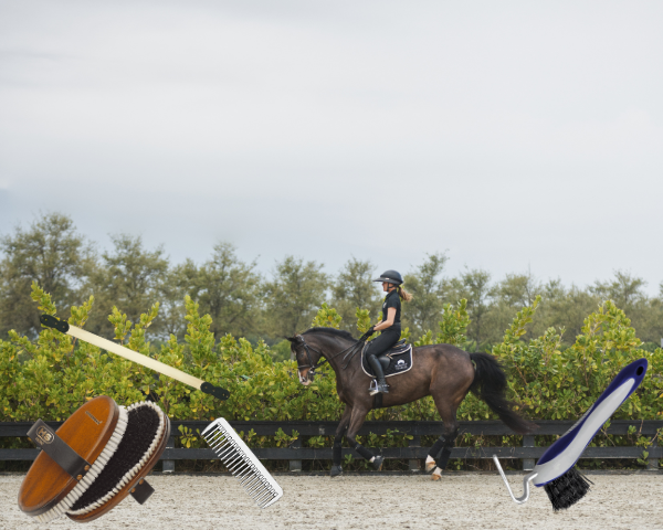 "Winter in Wellington"