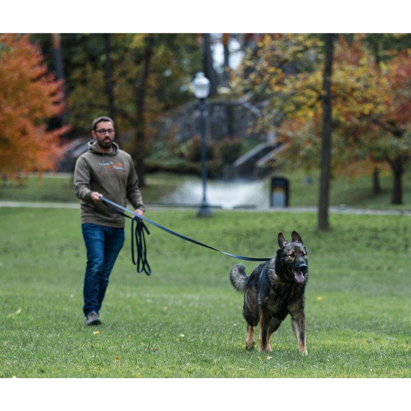 30 ft outlet leash