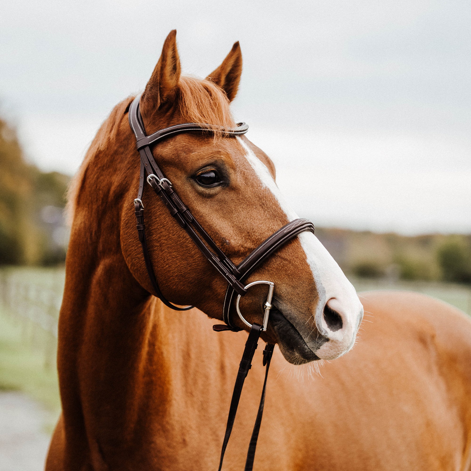 "The Hunter" KK D-Ring