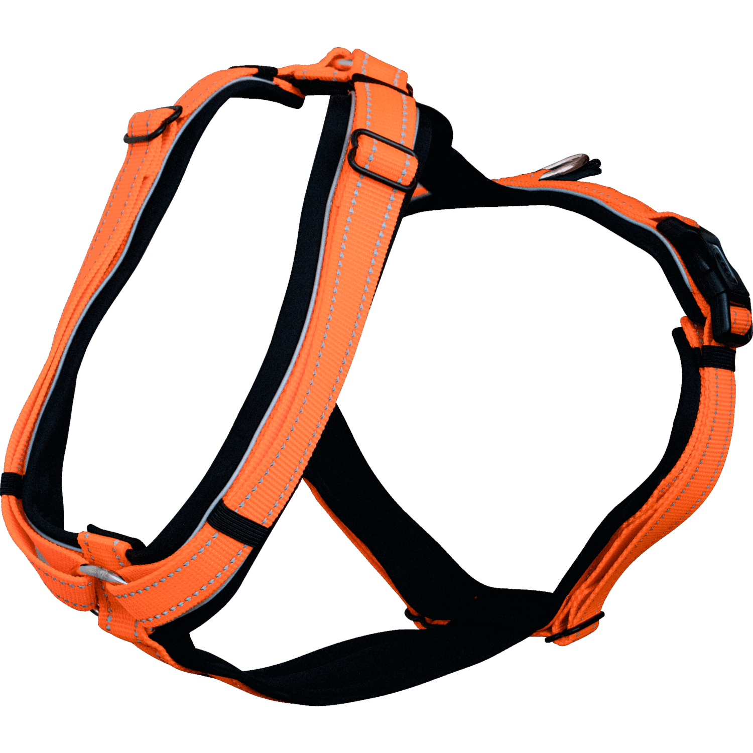 SPRENGER Foal Harness