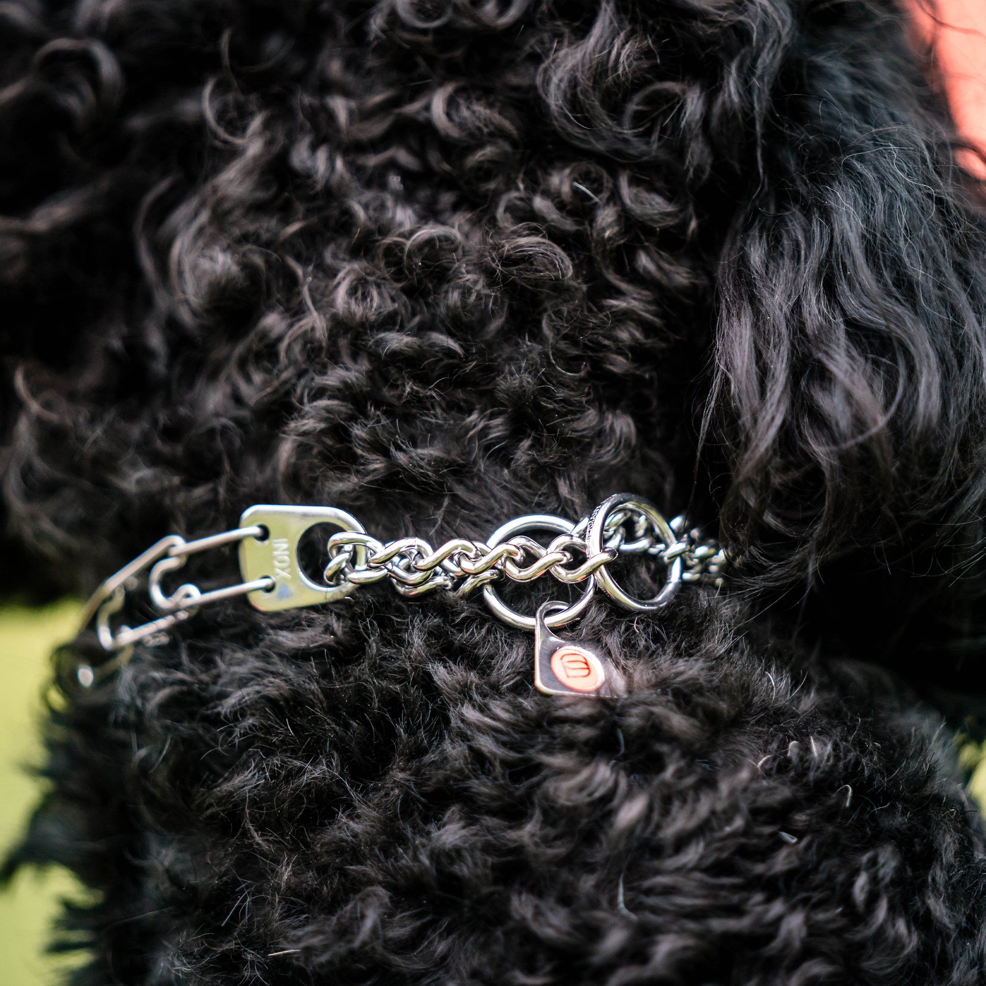 Micro-Plus Training Collar with Center-Plate, Dead Ring, & Assembly Chain (Stainless Steel) - 1.5mm Wire Gauge