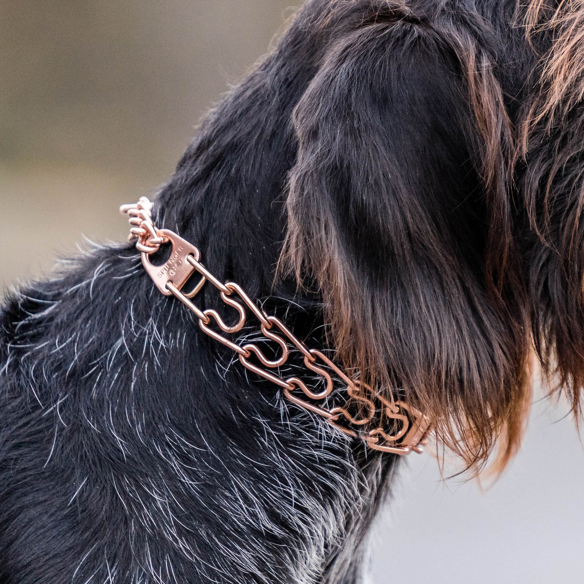 ULTRA-PLUS Training Prong Collar with Center-Plate, Assembly Chain, 2 rings - CUROGAN (3.0mm Short Version)