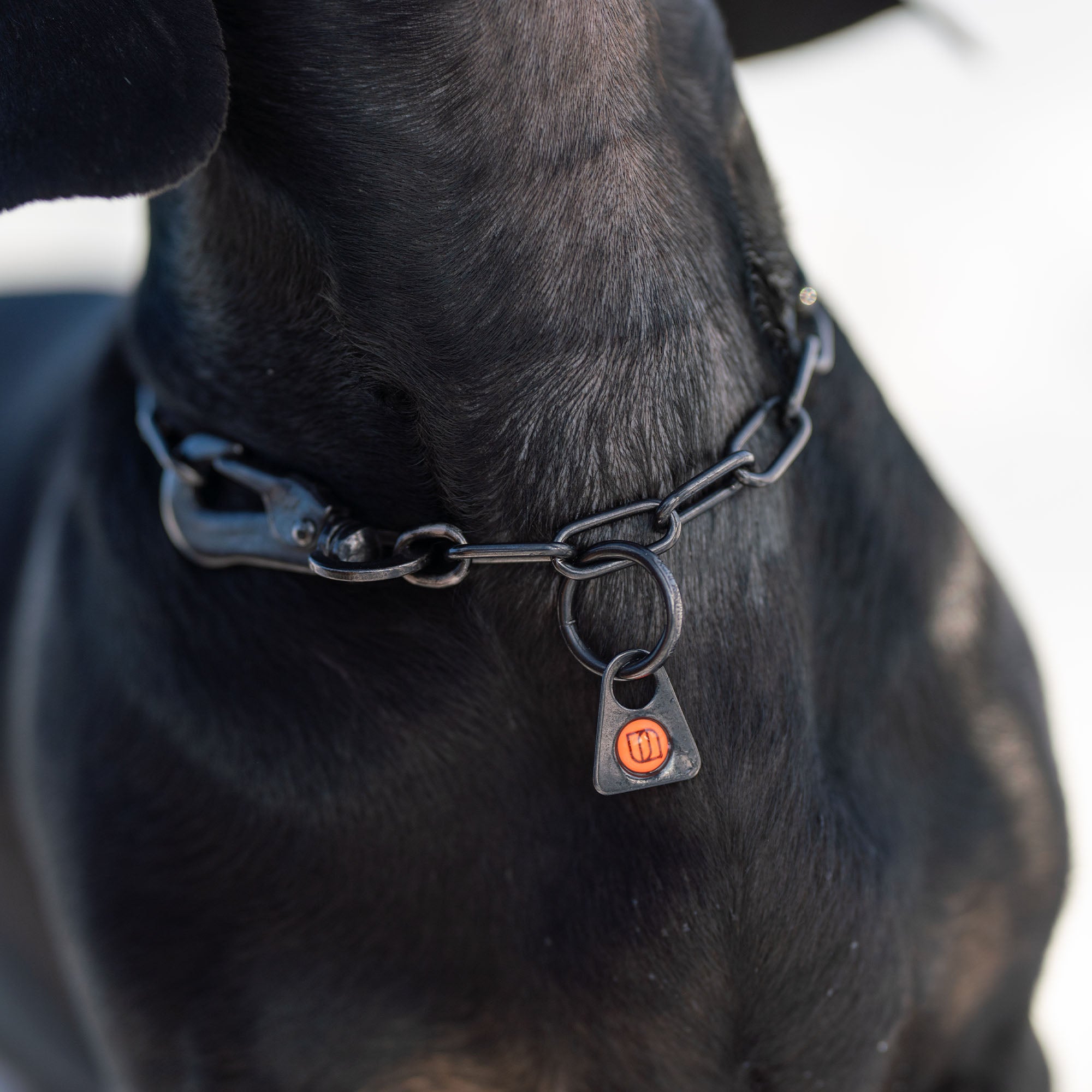 Adjustable Chain Collar with SPRENGER Hook - Stainless Steel Black, 2mm Wire Gauge