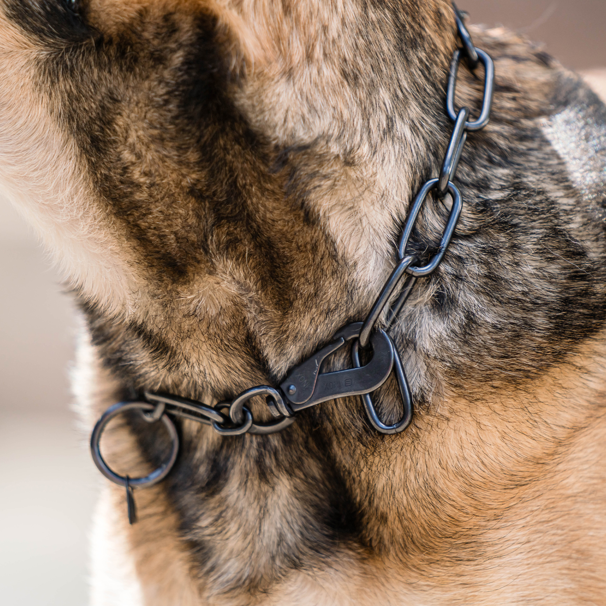 Long Link Chain Collar with SPRENGER Hook - 4mm Wire Gauge