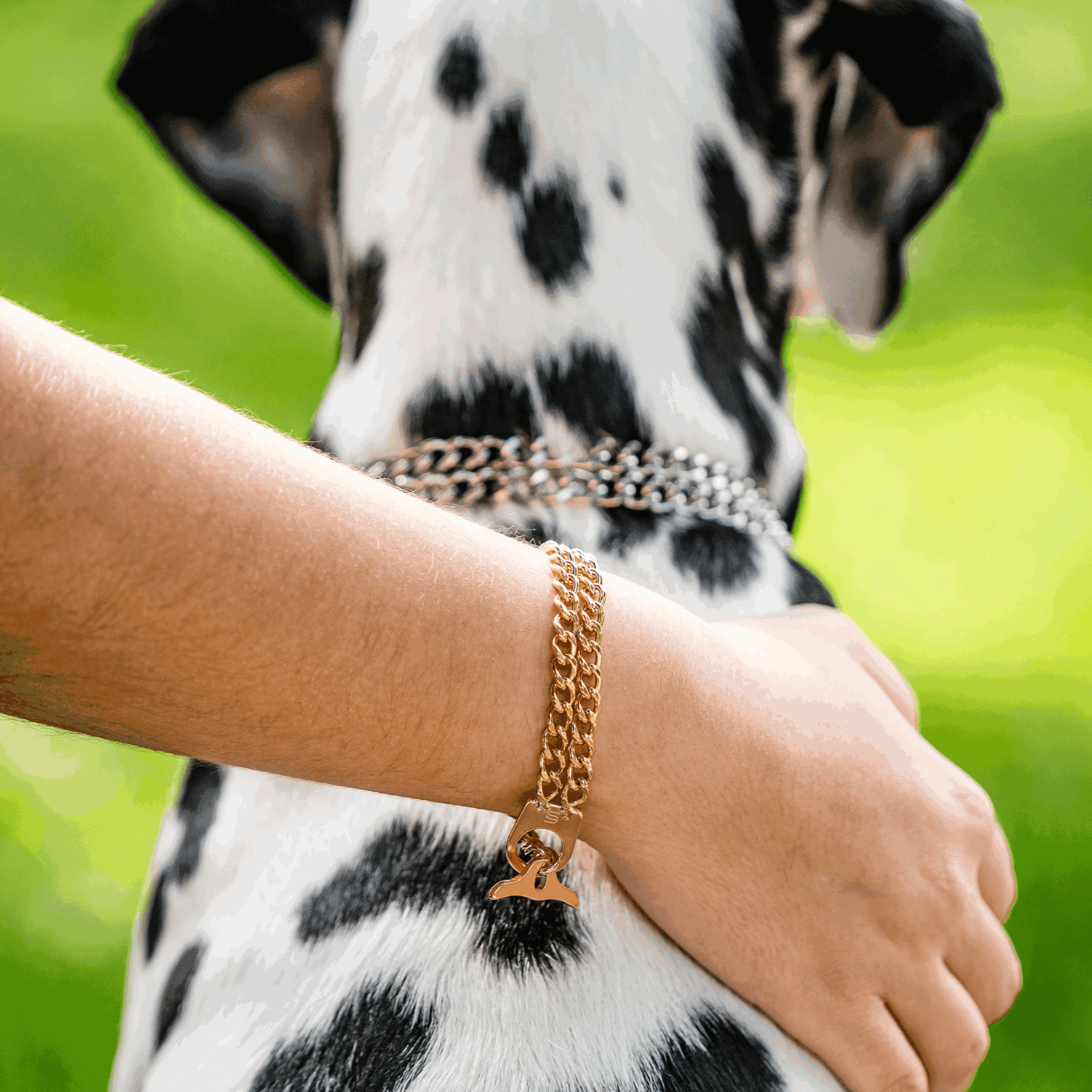 Womens Twin Row Chain Bracelet