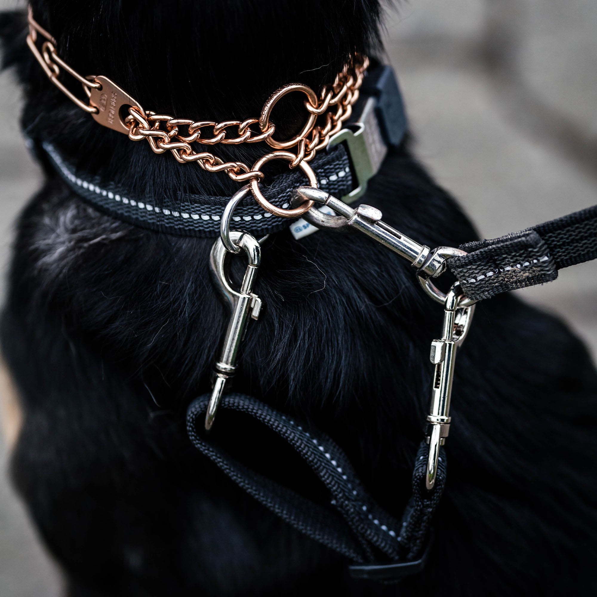 Safety Clip with Reflective - 6-8"