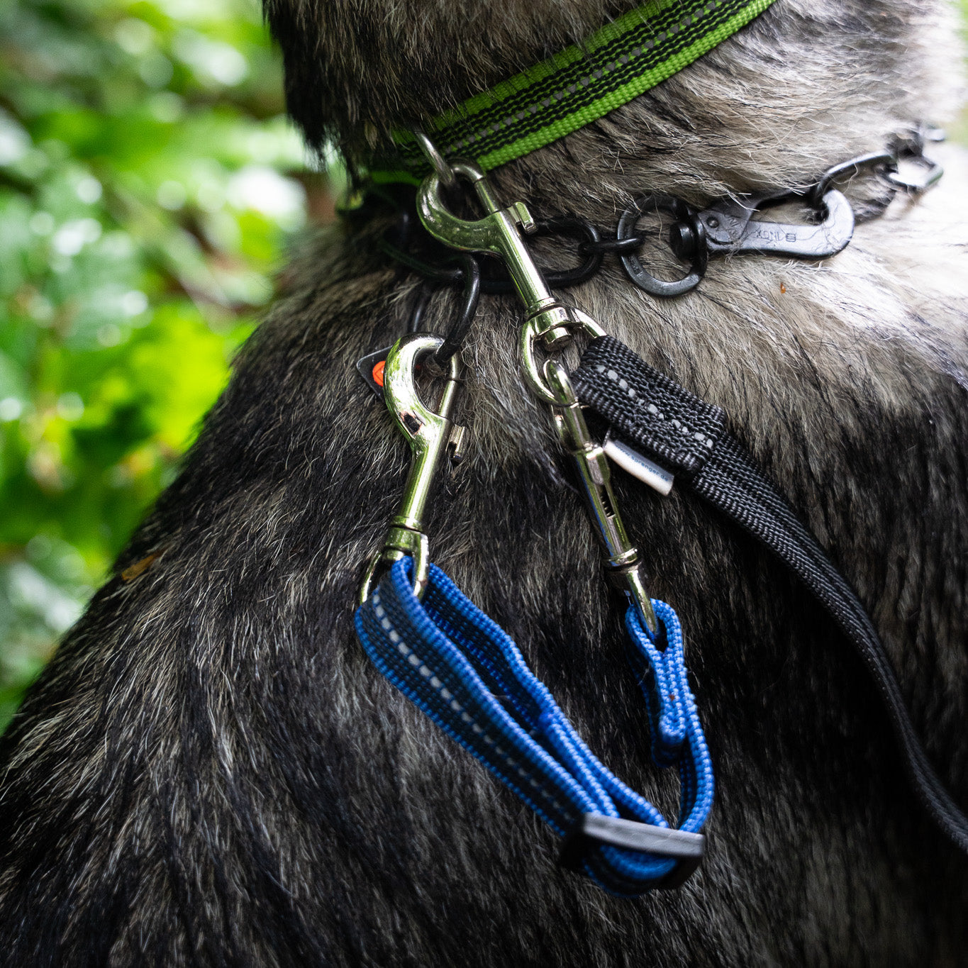 Safety Clip with Reflective - 6-8"