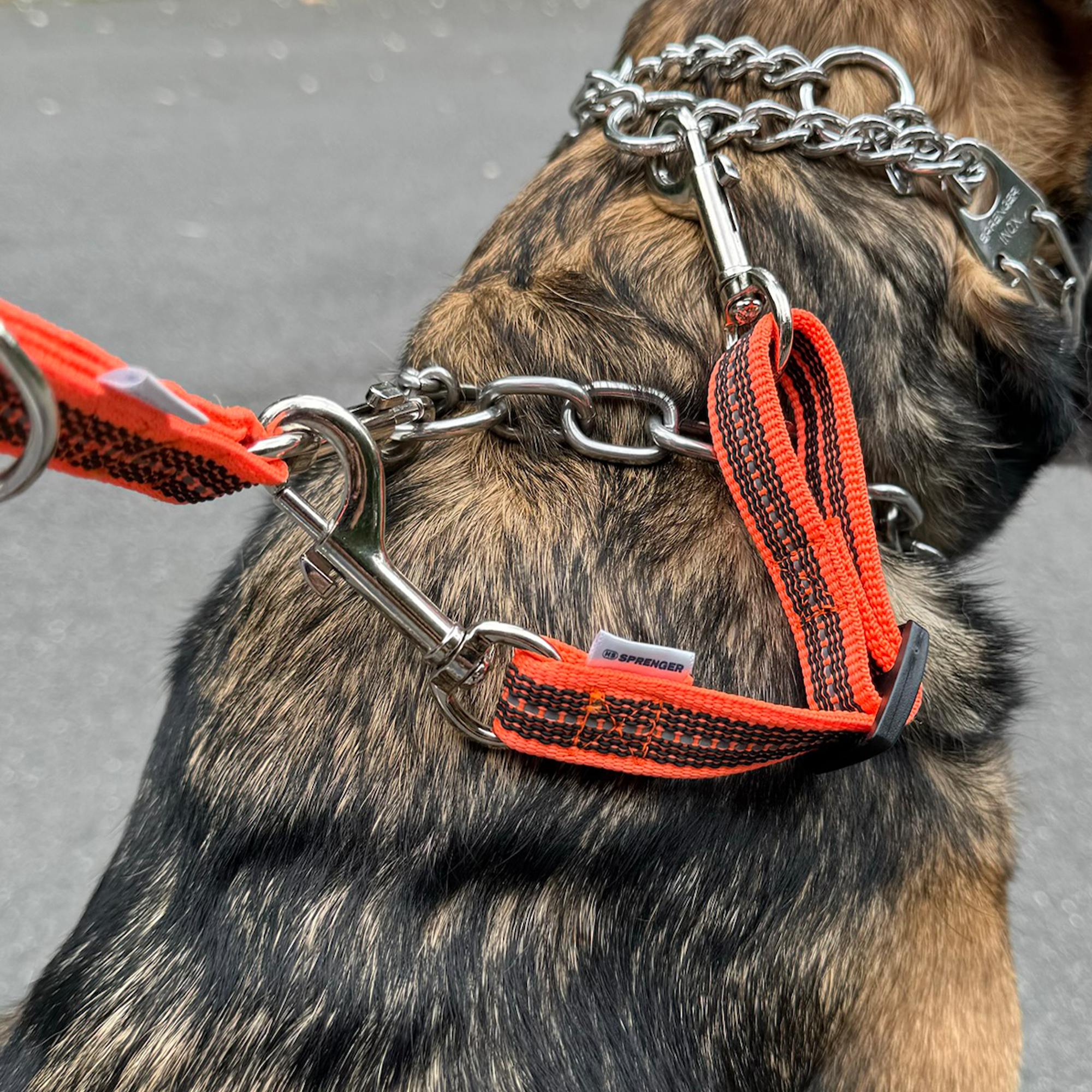 Safety Clip with Reflective - 6-8"