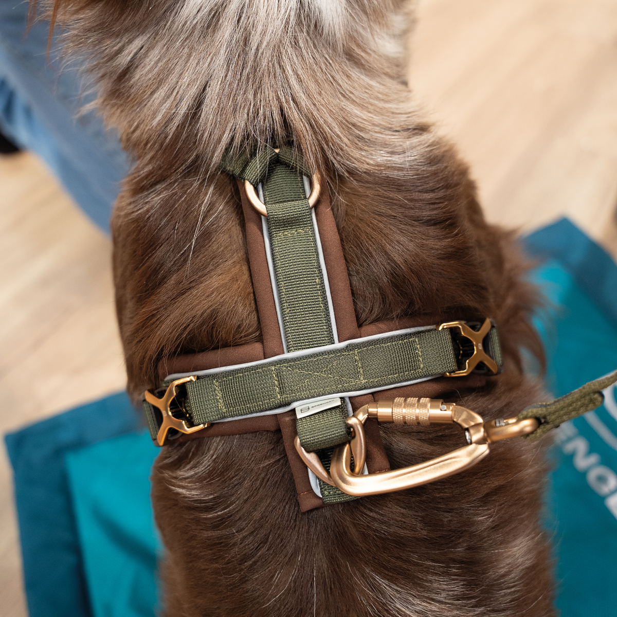 The Y-Harness 2.0 Brown/Green