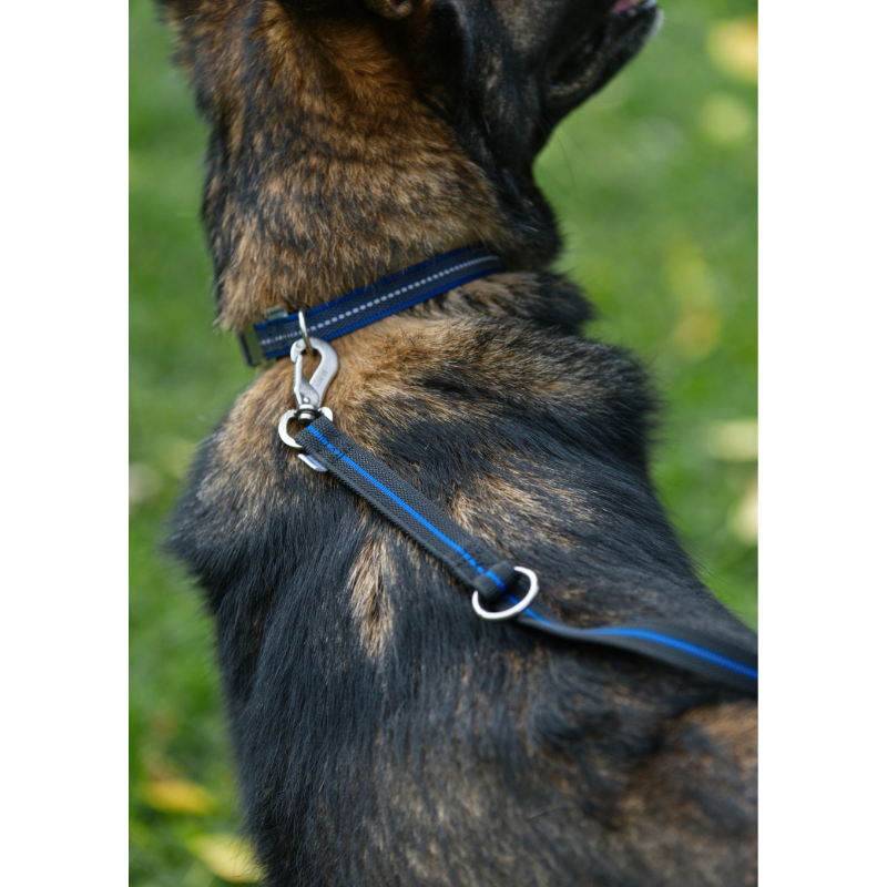BlueLine Rubberized Leash