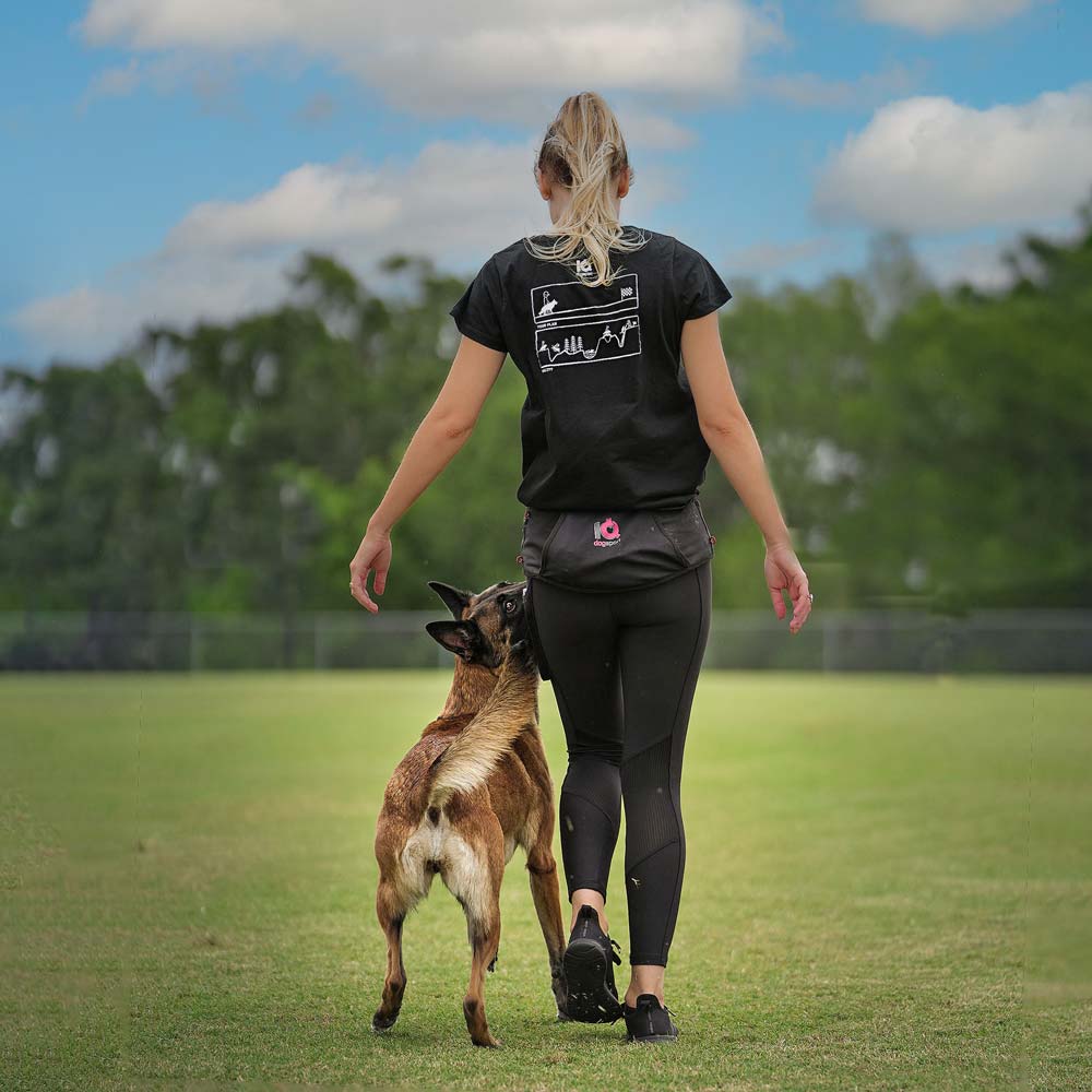 IQ Dogsport Multifunction Unisex Belt - Black