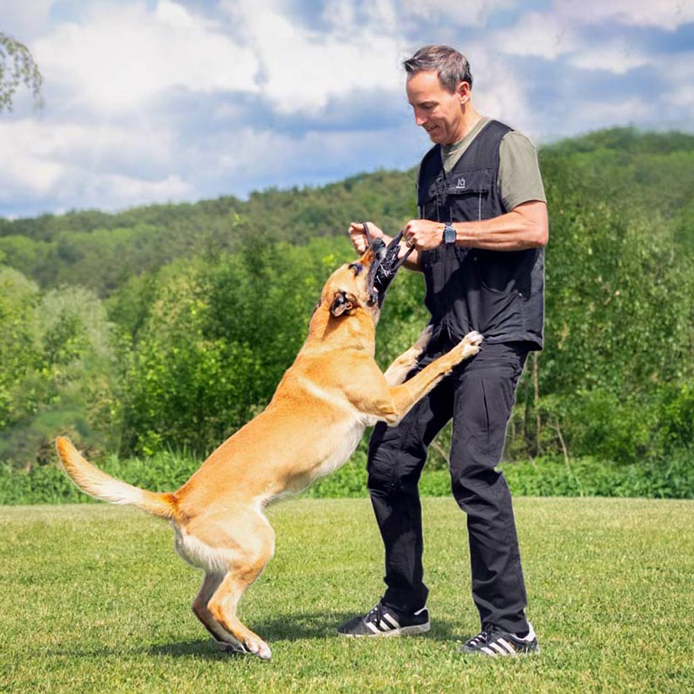 IQ Dogsport Summer 3.0 Vest (Unisex) - Black