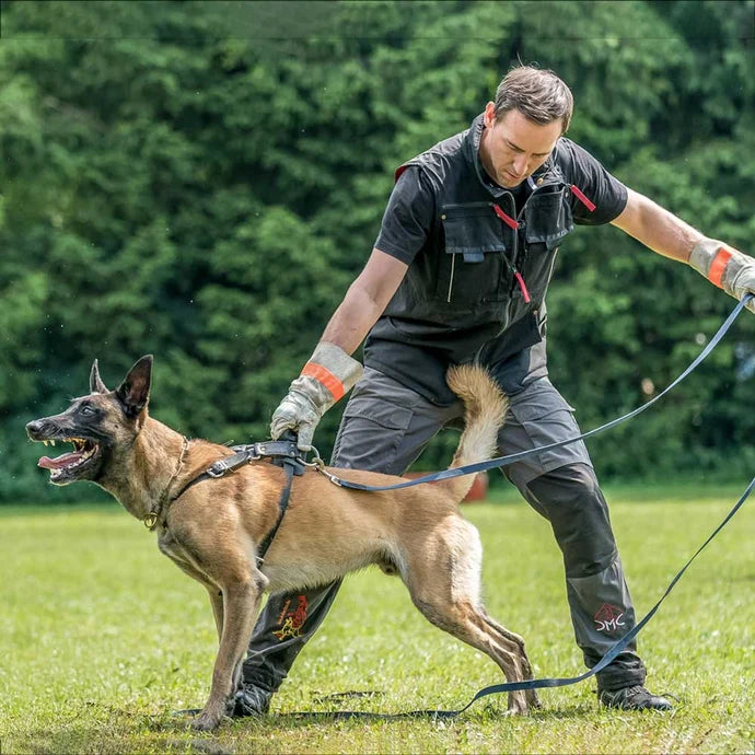 IQ Dogsport 3.0 Training Vest (Unisex)