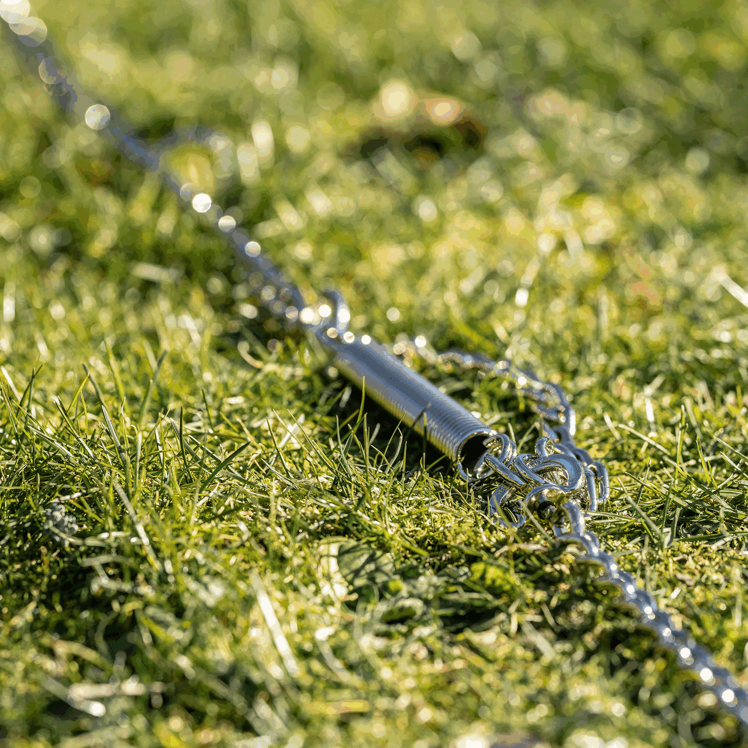 Tie-Out Training Chain (Steel Nickel-Plated) - 4mm