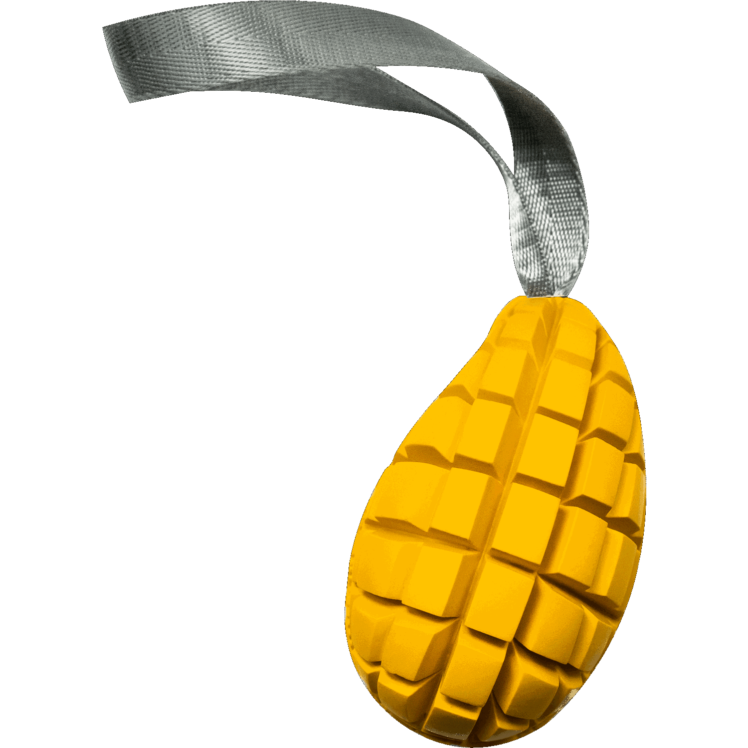 Mango Dog Toy
