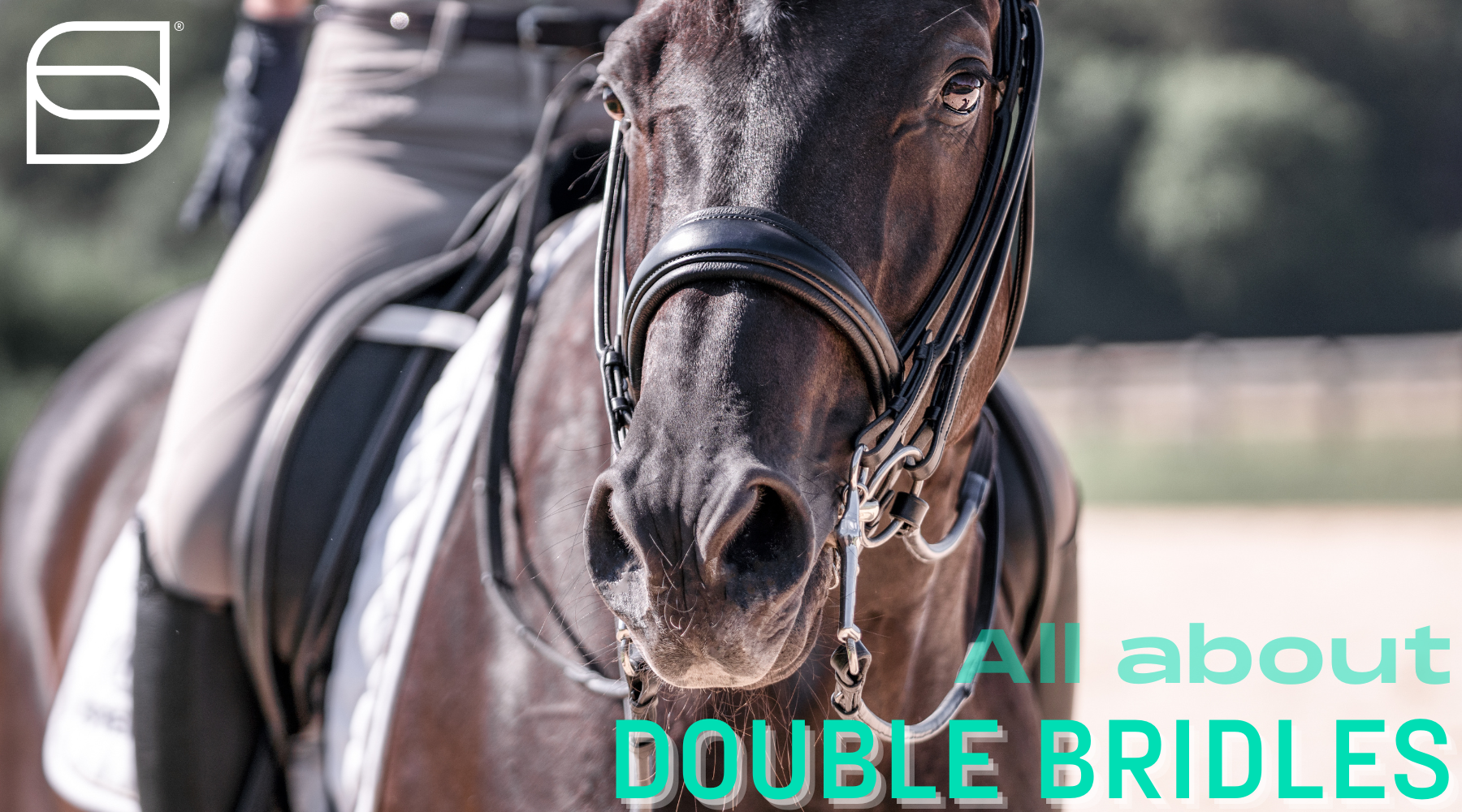 All About Double Bridles