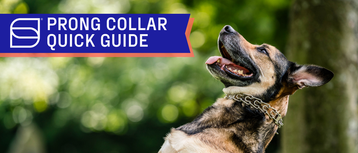 SPRENGER Prong Collar Quick Guide