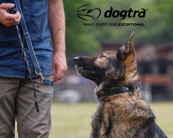 Ecollar Training with Dogtra, the latest addition to Herm Sprenger USA