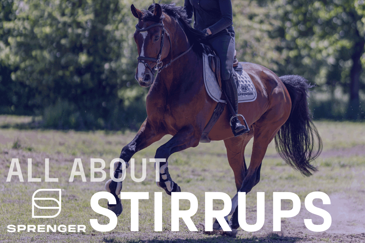 All About SPRENGER Stirrups