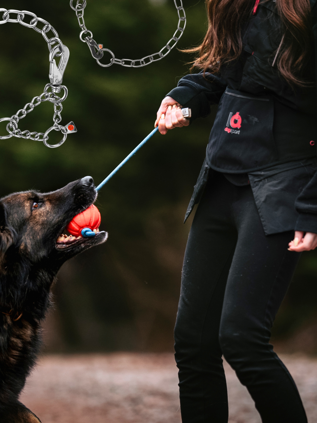 Bundle of the Month: IQ DogSports + Adjustable Chain Collars