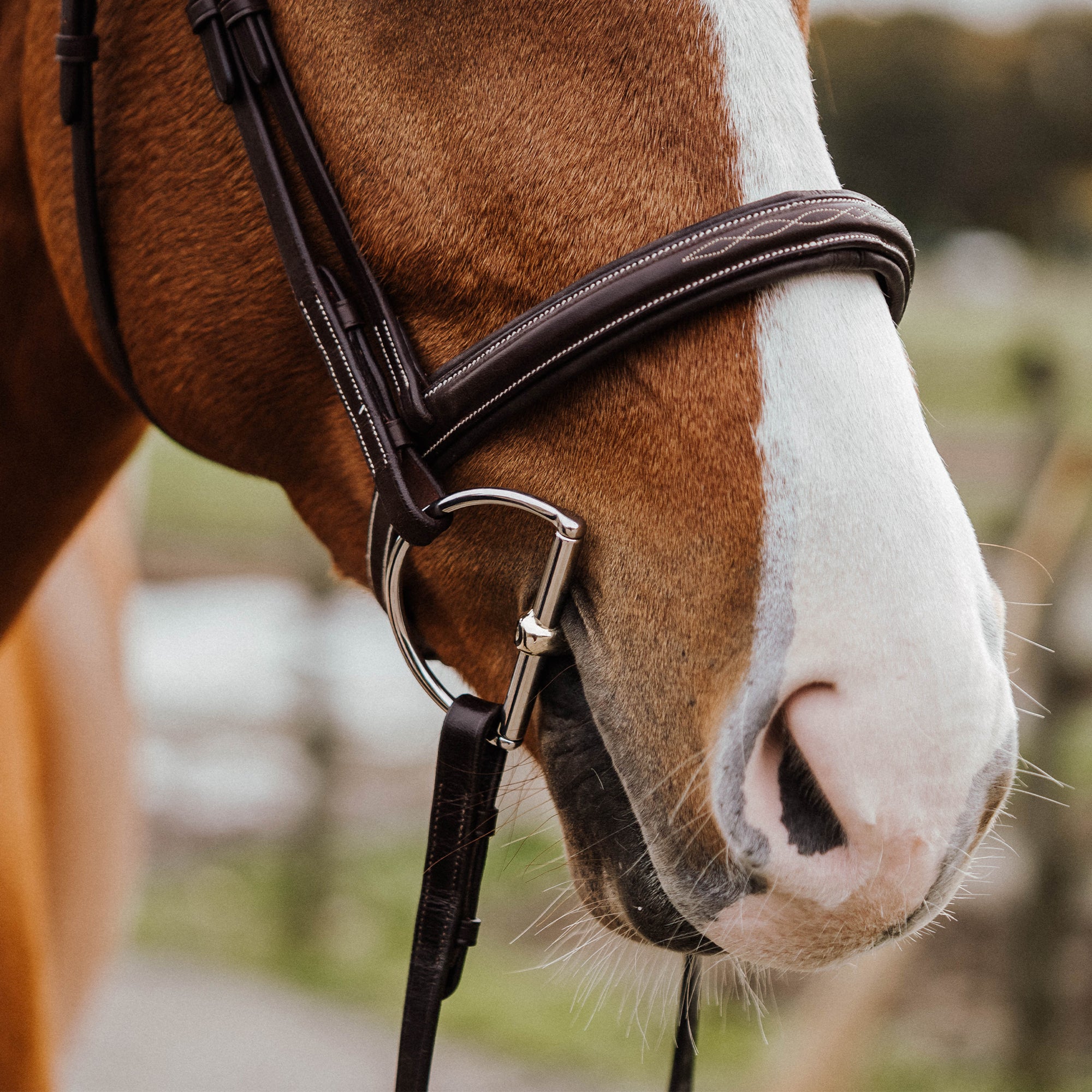 "The Hunter" KK D-Ring