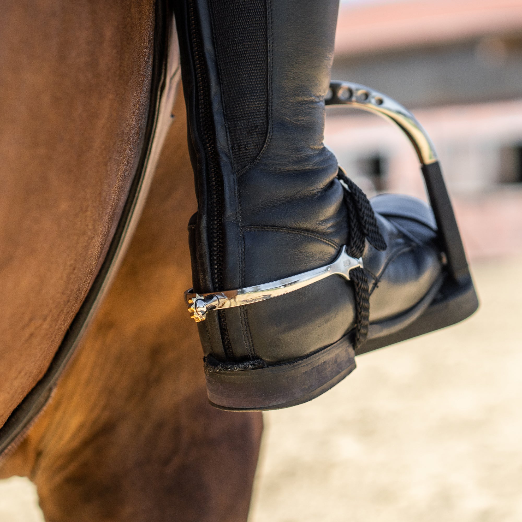 EL王者　ソランケ　SPURS ULTRAfit Comfort Roller Soft Point Spurs
