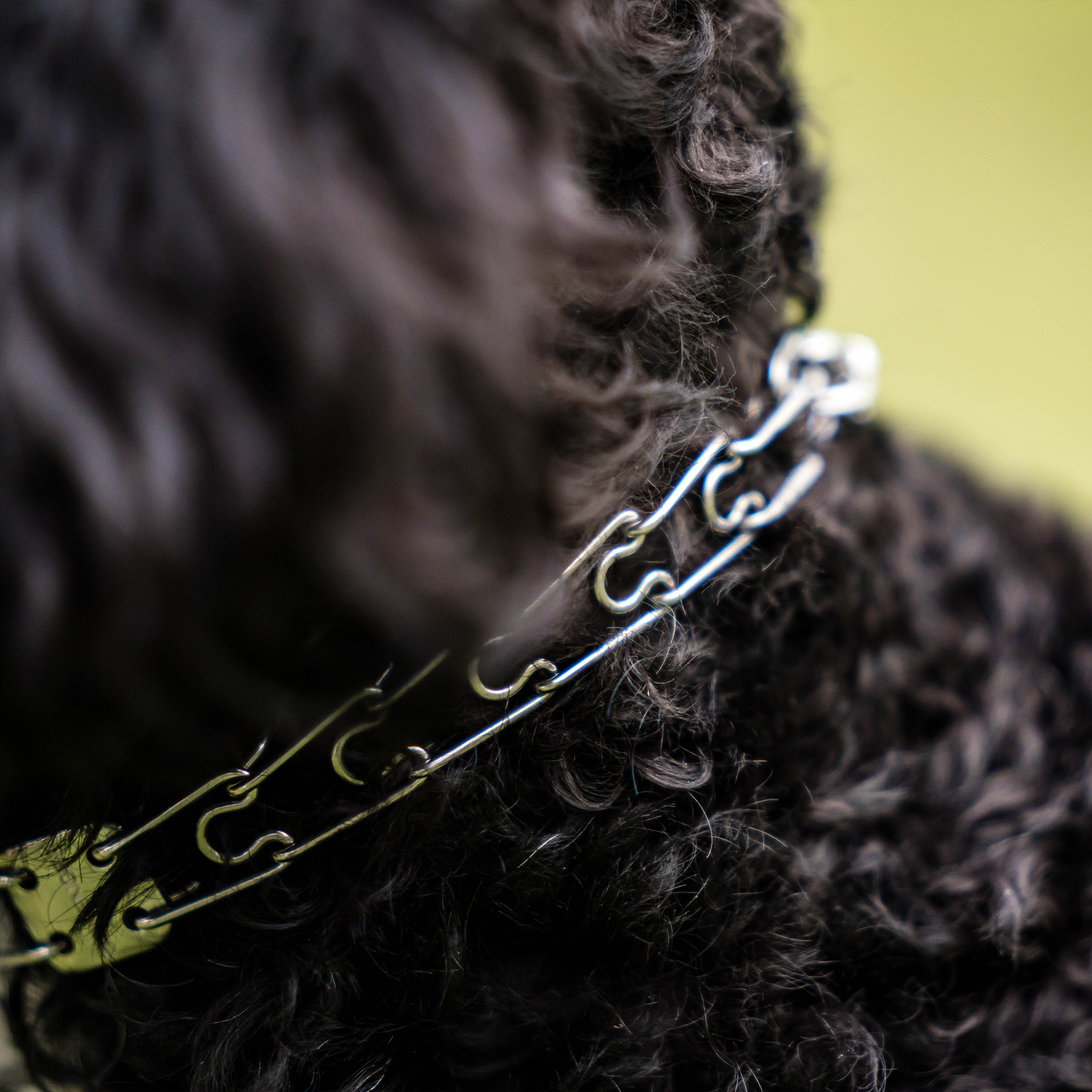 Micro-Plus Training Collar with Center-Plate, Dead Ring, & Assembly Chain (Stainless Steel) - 1.5mm Wire Gauge