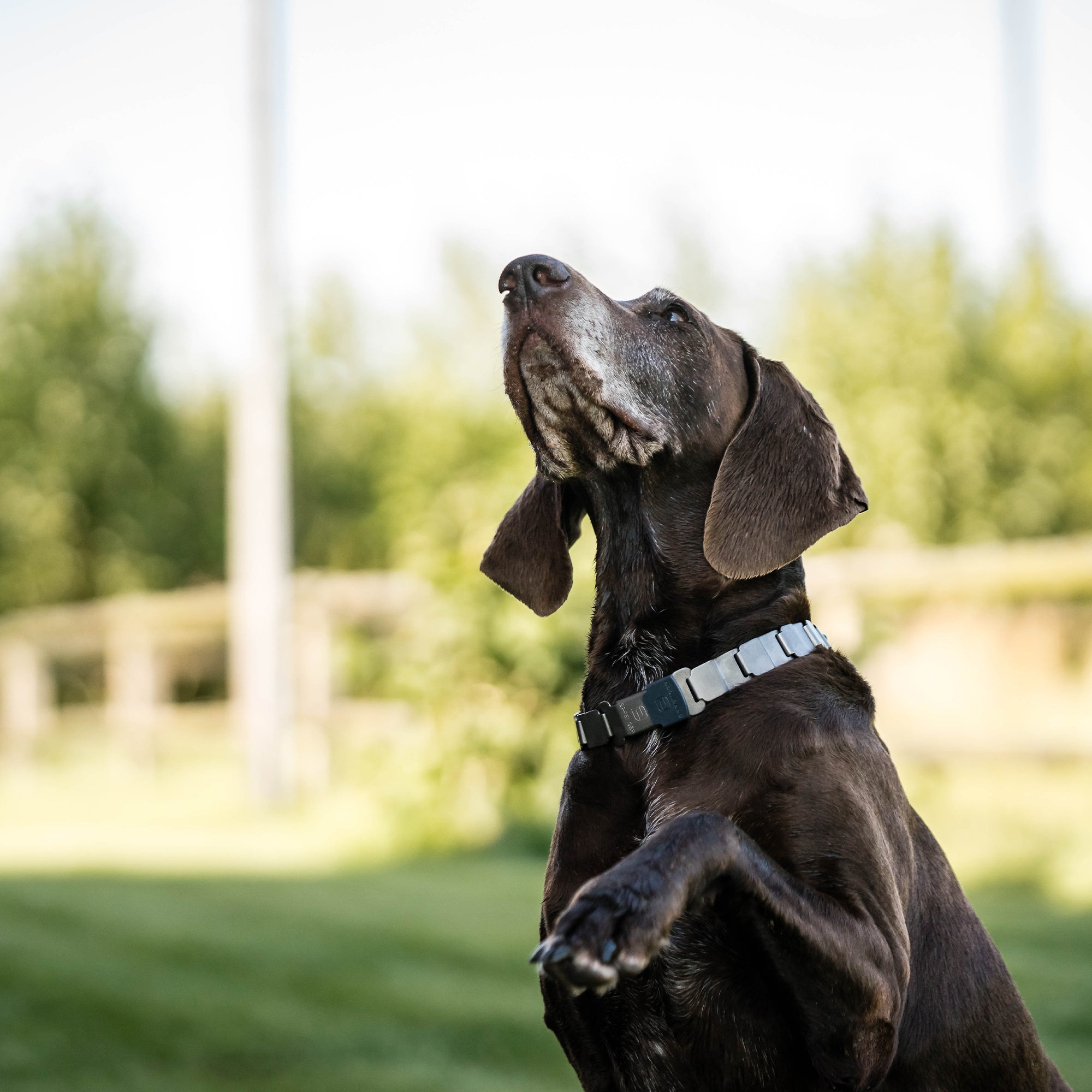 NeckTech Fun with Assembly Chain & ClicLock - Stainless Steel Matte Black