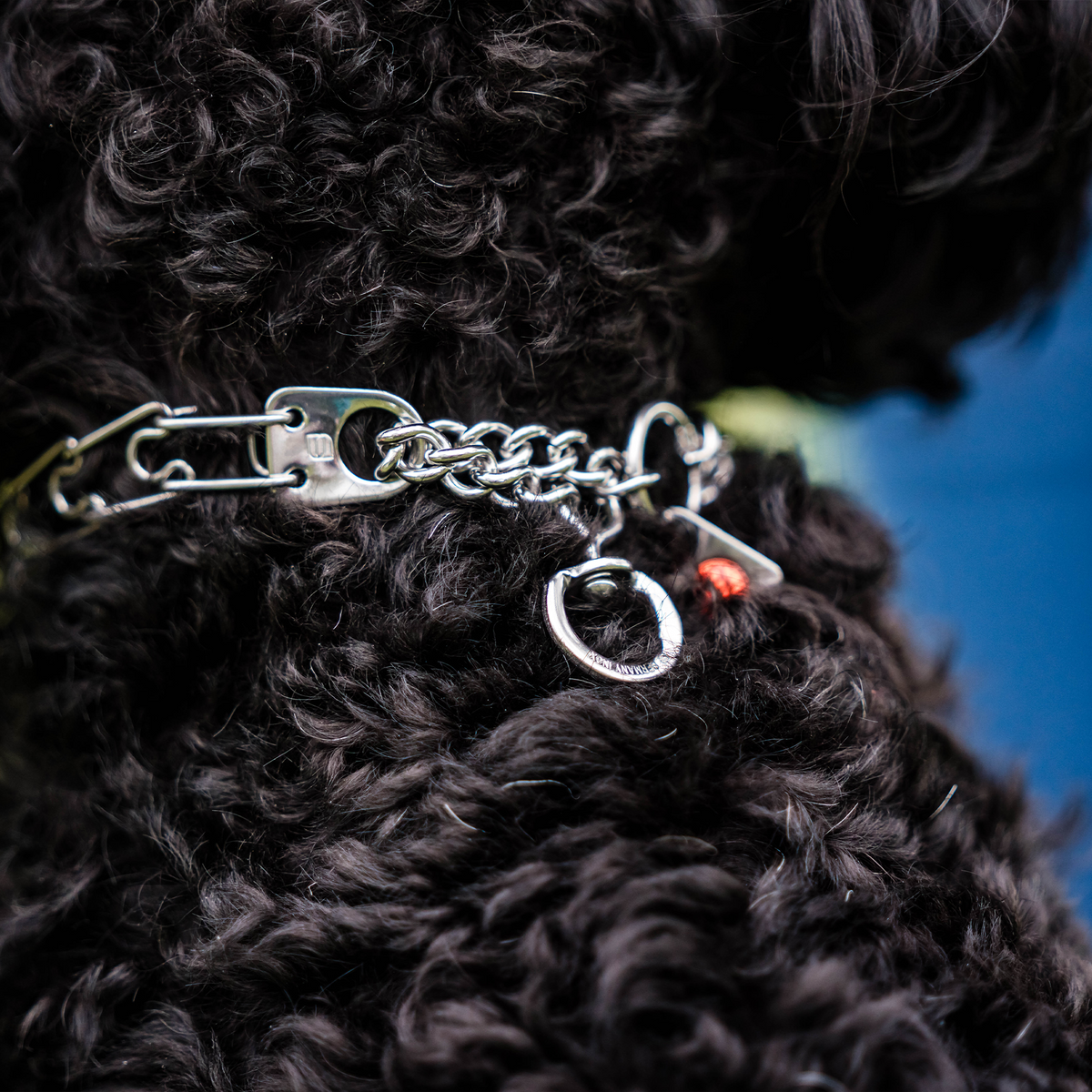Micro-Plus Training Collar with Center-Plate & Assembly Chain (Stainless Steel) with Swivel - 1.5mm Wire Gauge