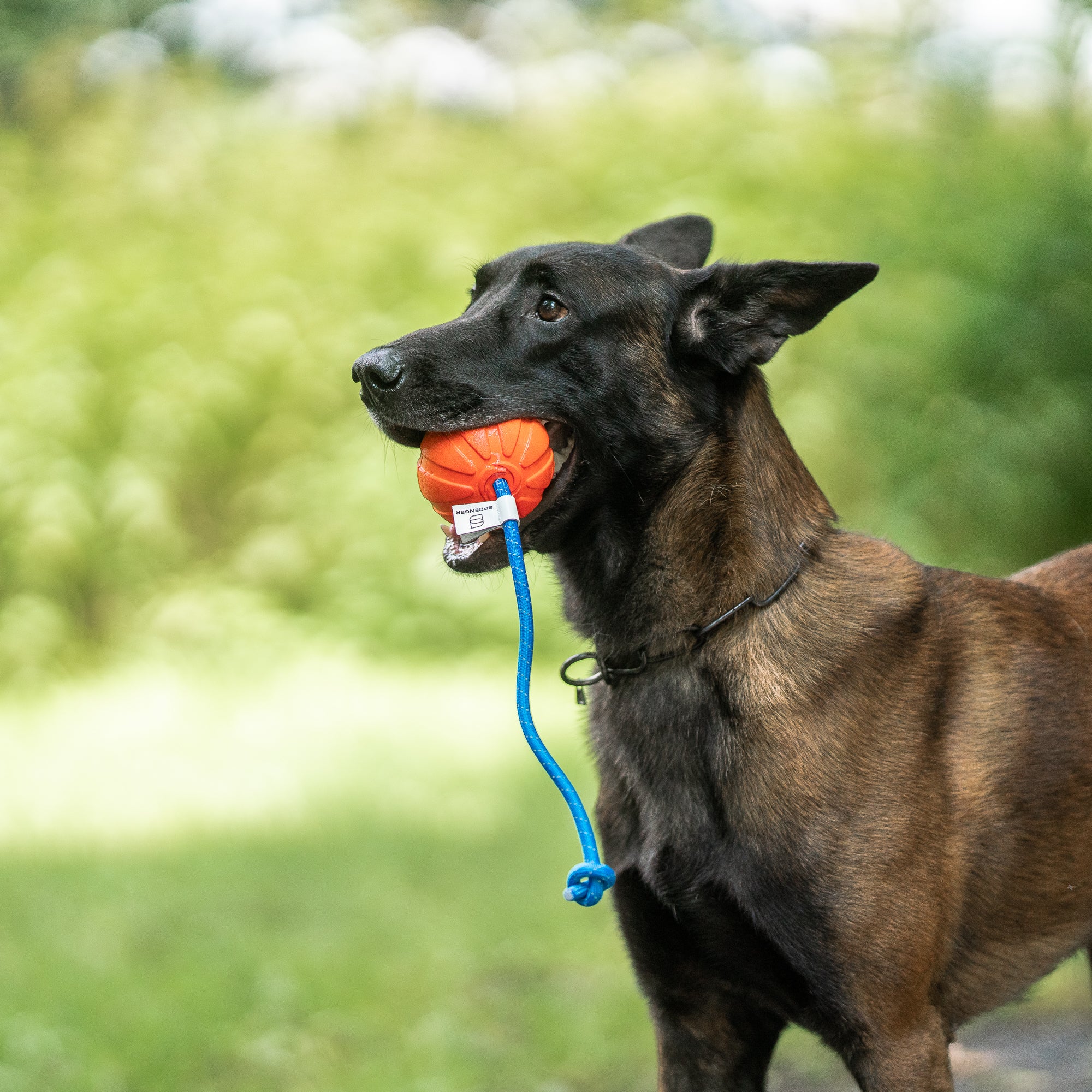 Floatable Fun Ball on Rope