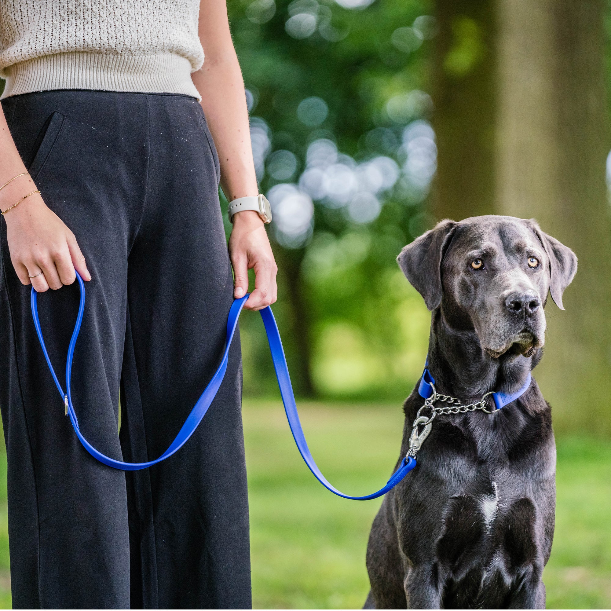 Biothane 52" Leash with Hand Strap (various colors)