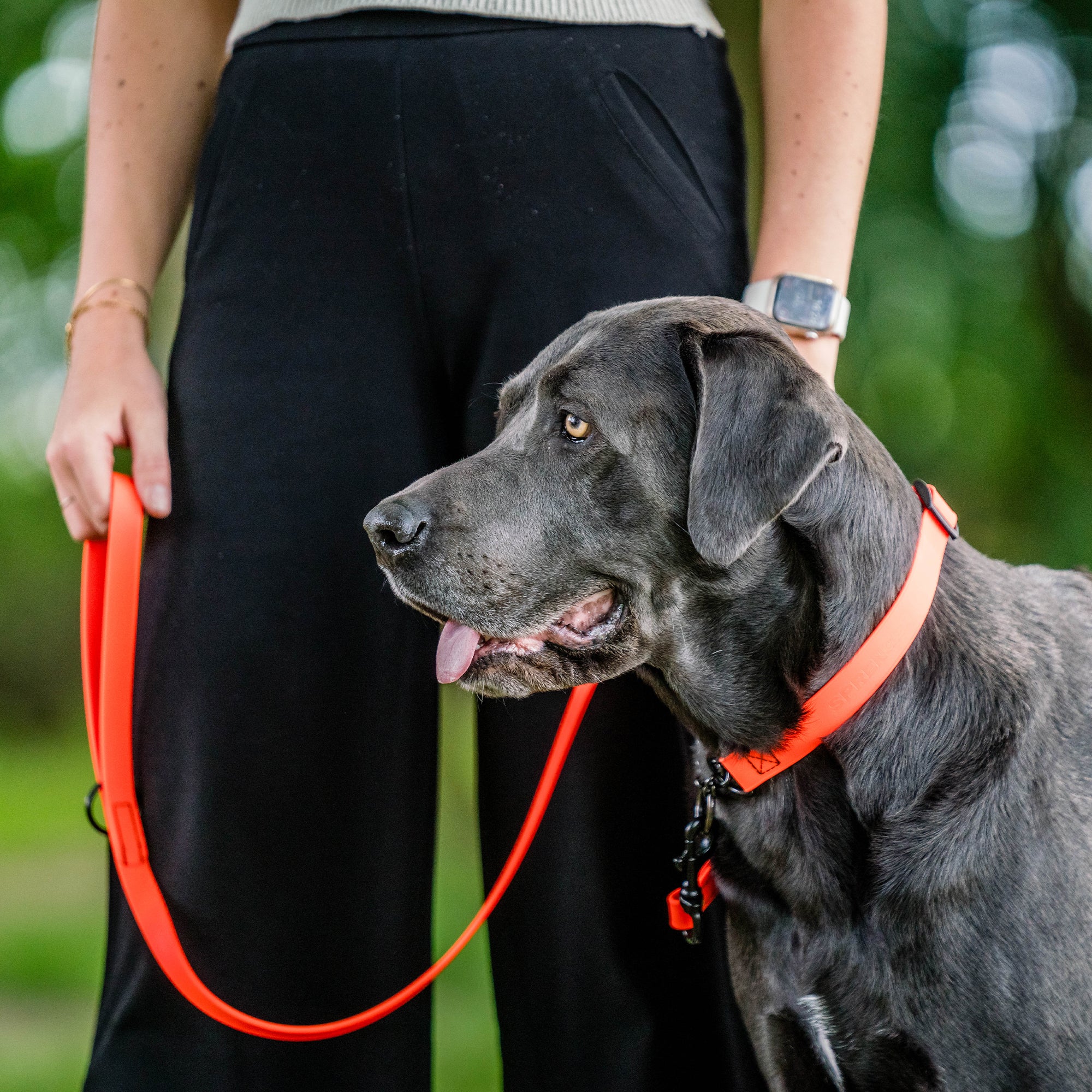 Biothane 52" Leash with Hand Strap (various colors)