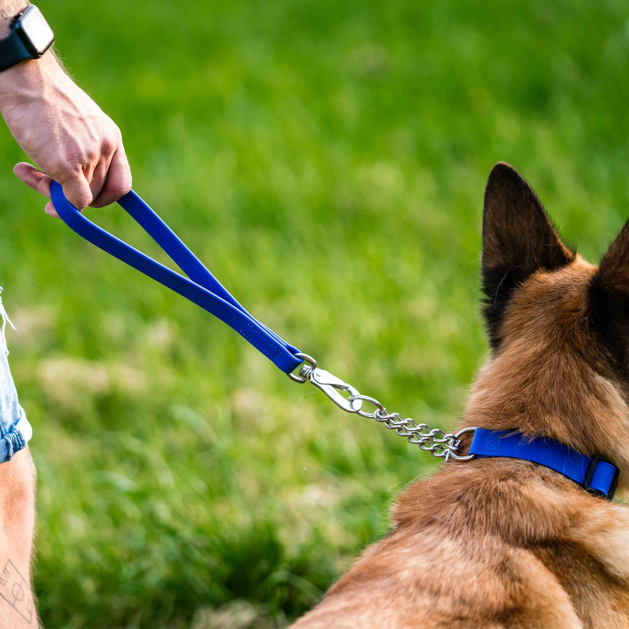 Biothane 1ft Short Leash