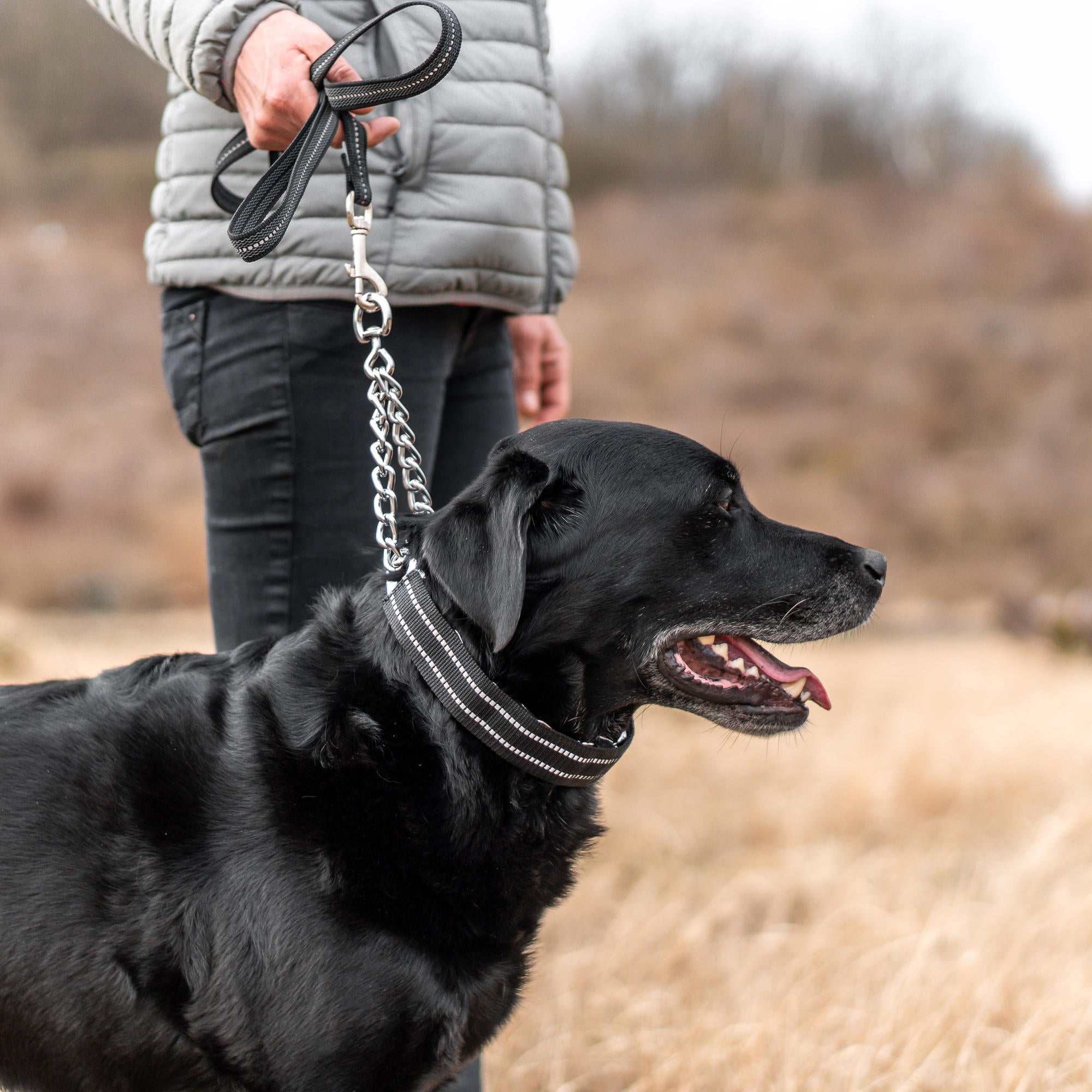 ULTRA-PLUS Training Prong Collar Cover - Reflective