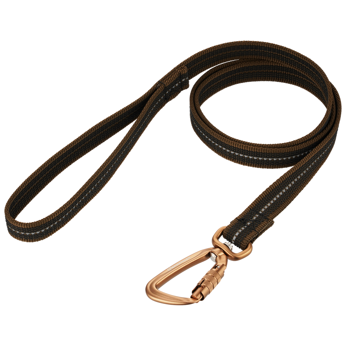 Rubberized Nylon Dog Leash with Hand Strap