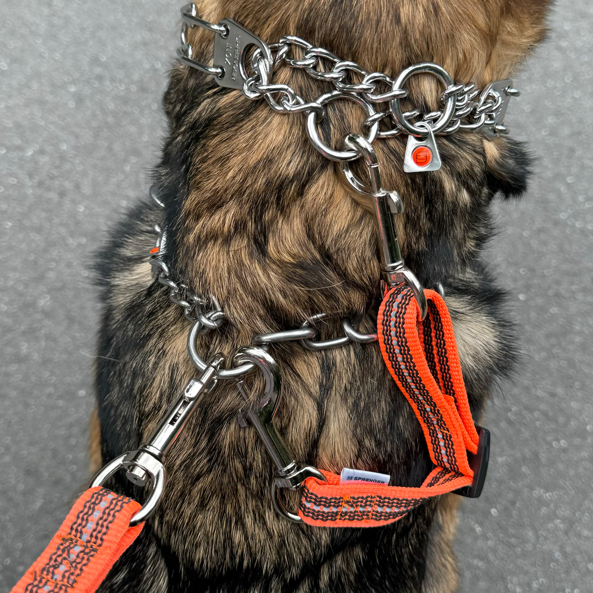 Safety Clip with Reflective - 6-8"