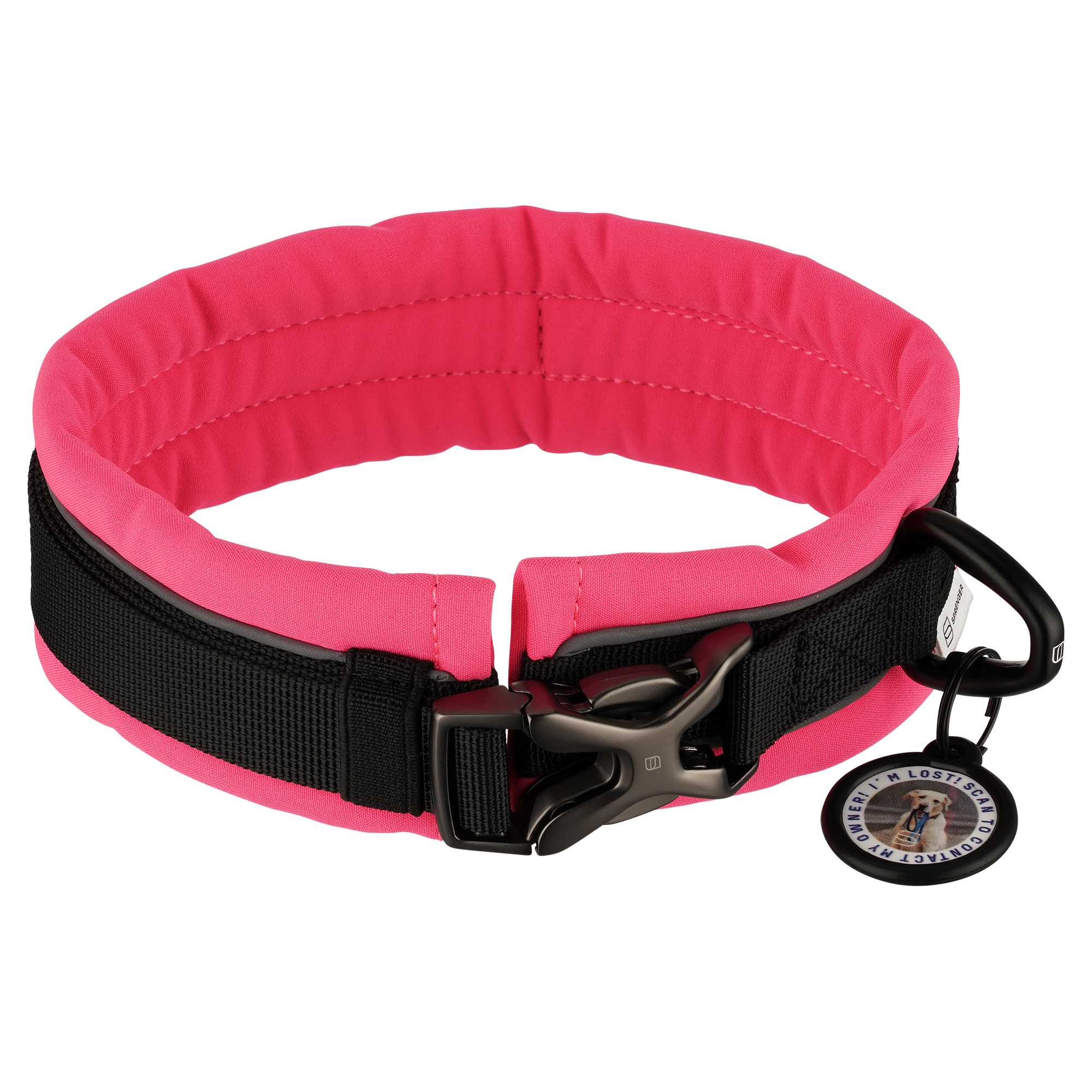 Padded Dog Collar