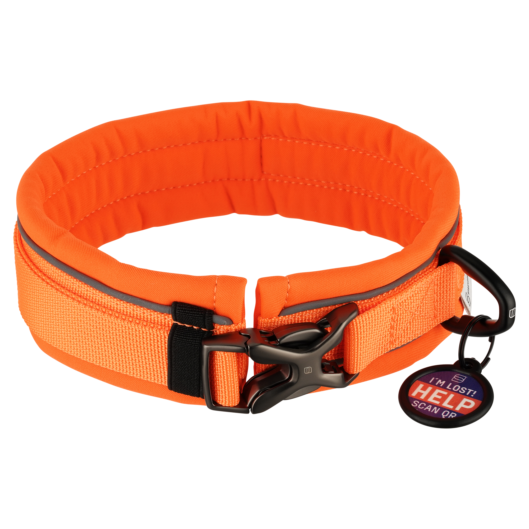 Padded Dog Collar