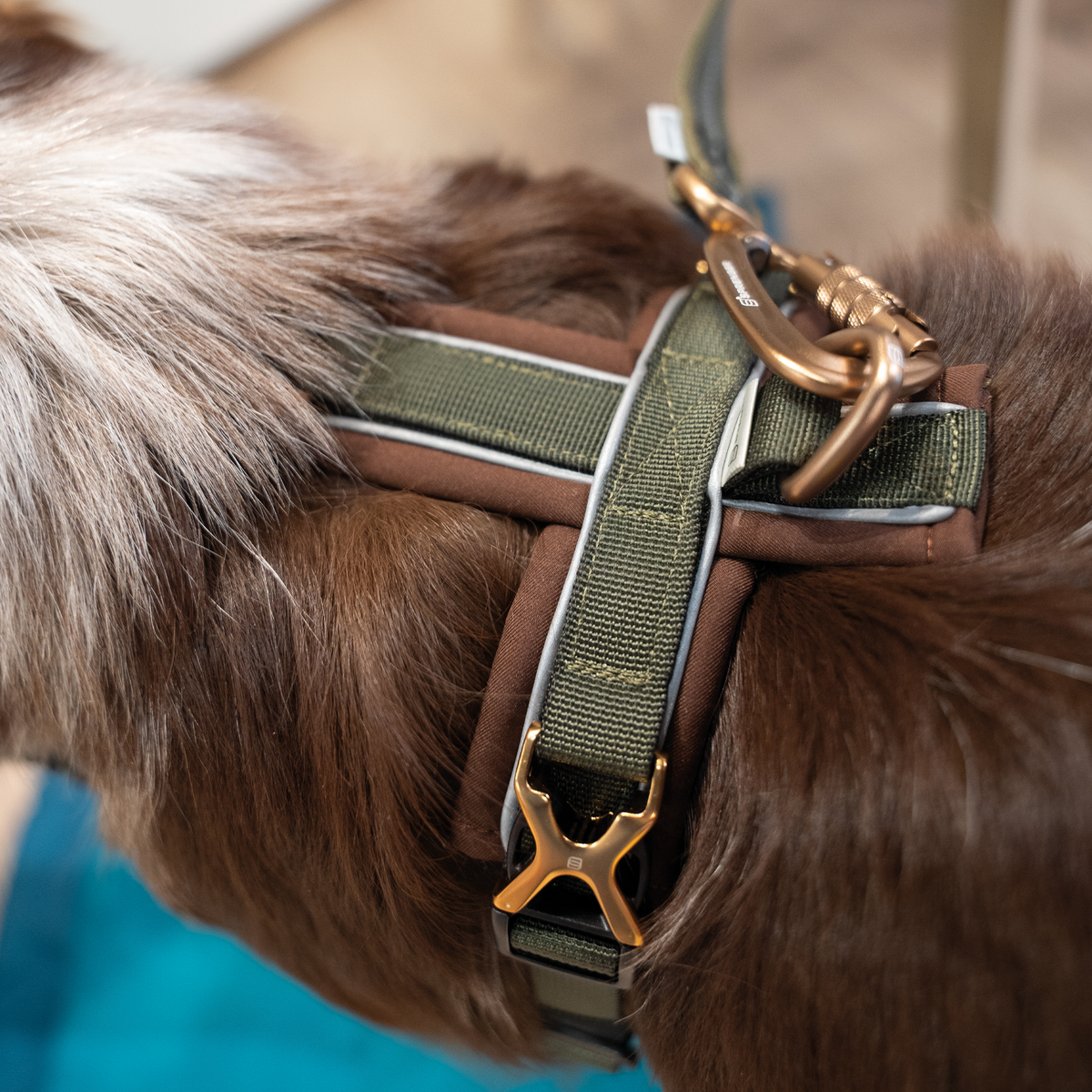 The Y-Harness 2.0 Brown/Green