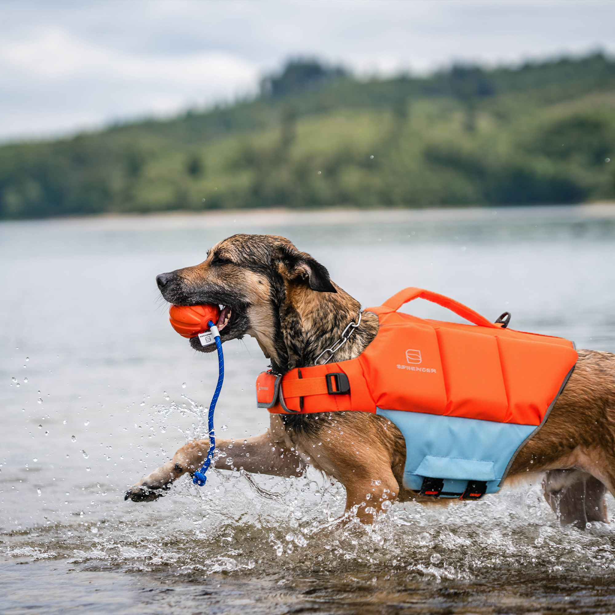 Dog Life Jacket