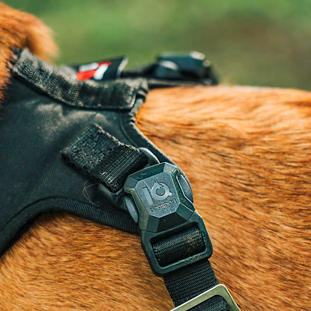 IQ Dogsport Performance Pro Click & Go Protection Dog Harness