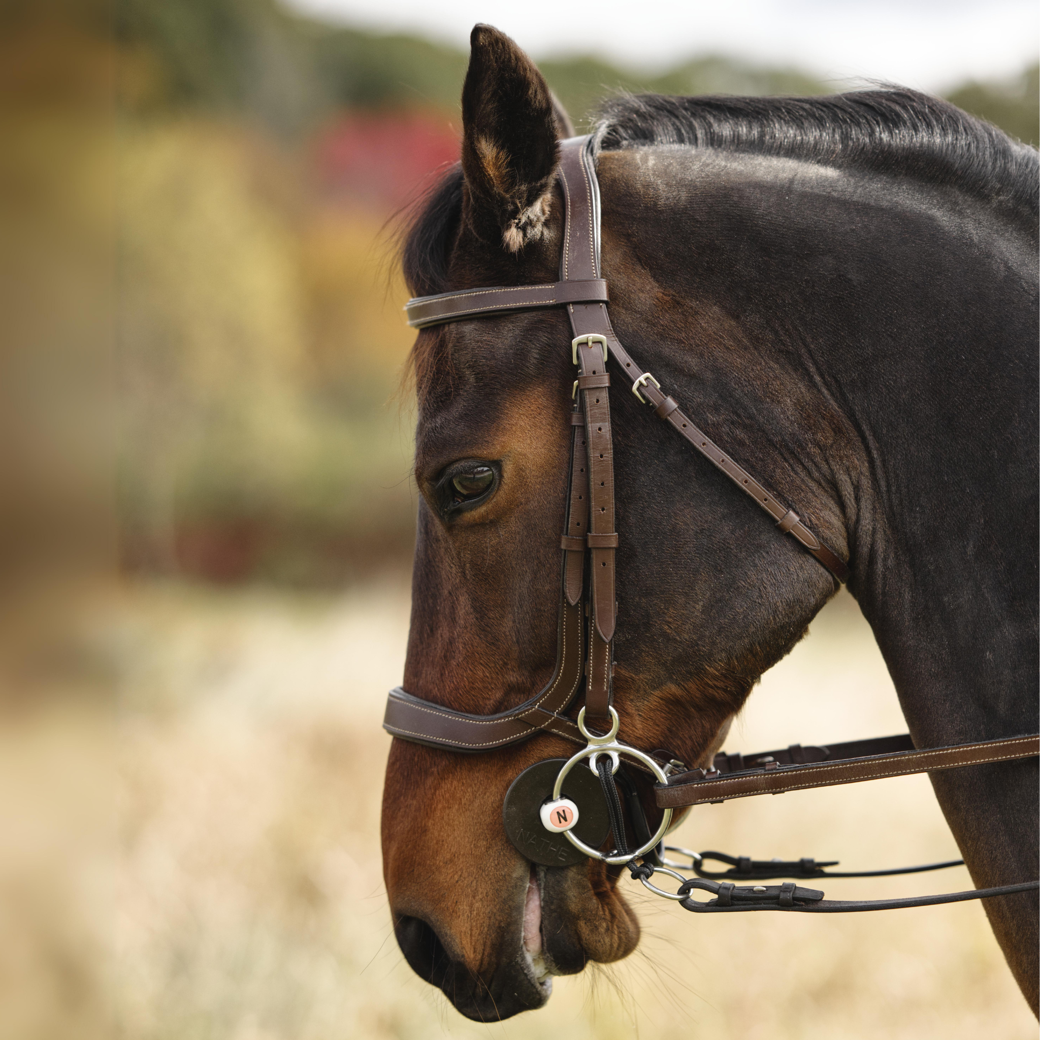 Nathe TN Snaffle - Flexible Mullen Mouth